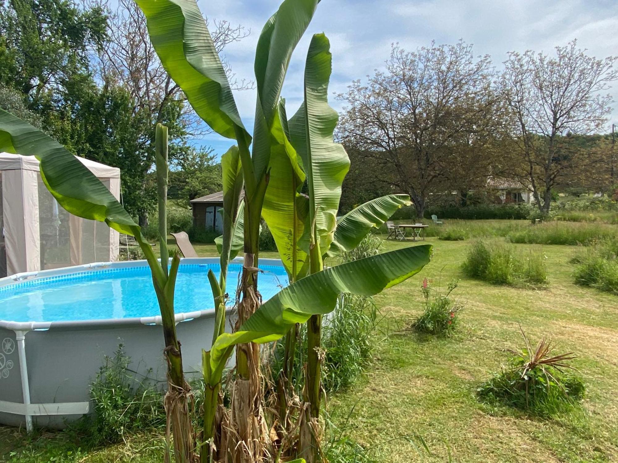 Gite Wildflower Lane Valojoulx Exterior photo