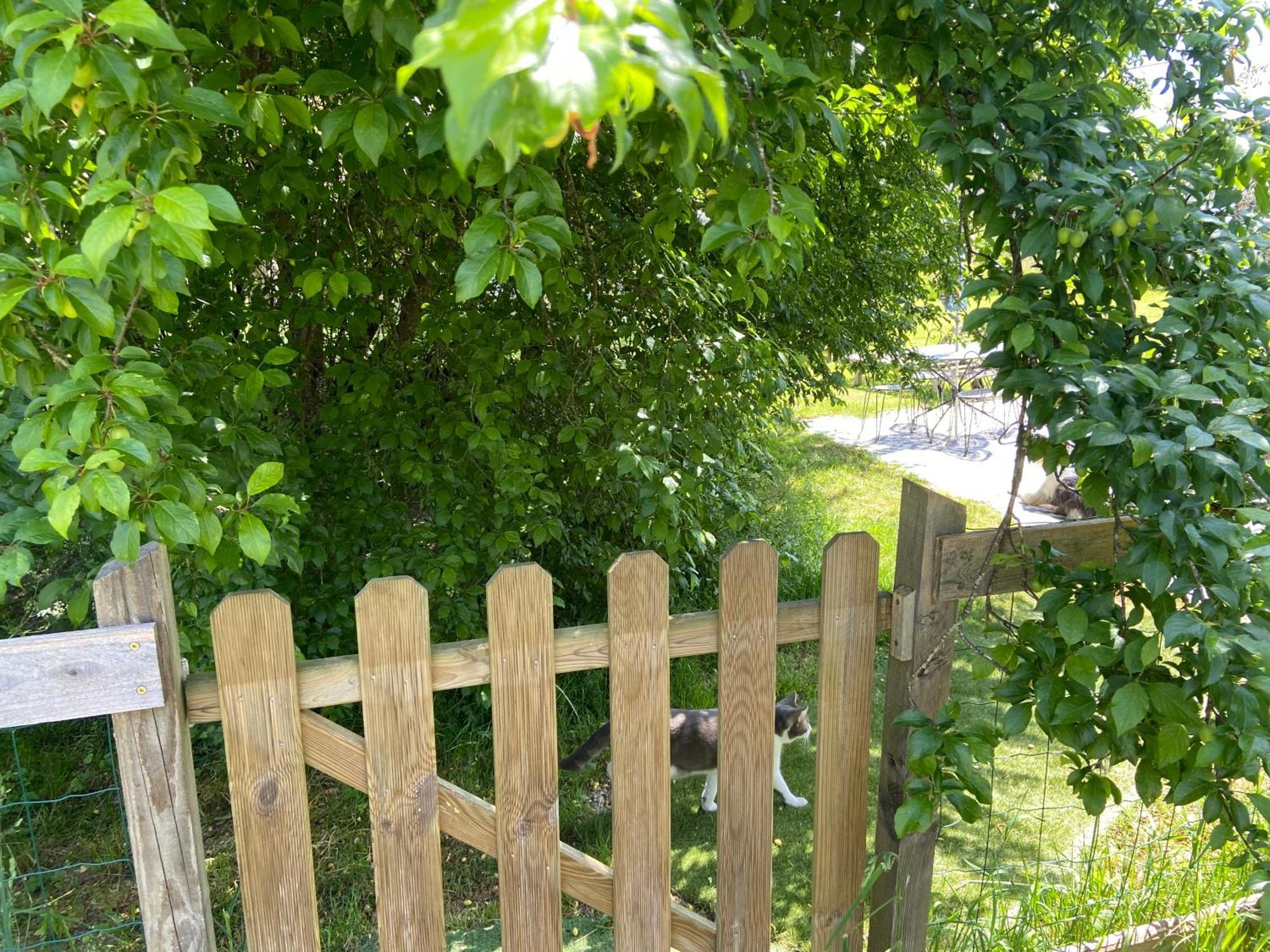 Gite Wildflower Lane Valojoulx Exterior photo